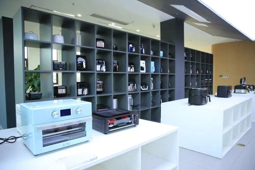 江苏滨海 以“智”提“质”，激活家电销售新质生产力发展一池春水